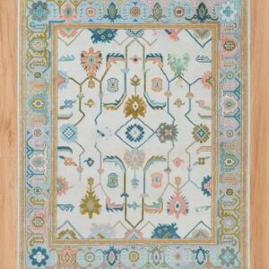 Ivory Pastel Geometric Floral Handwoven Area Rug with Ornate Border
