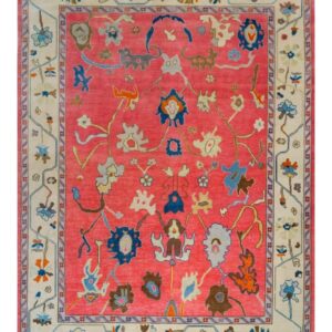 Vibrant Coral Floral Handcrafted Traditional Rug with Decorative Border