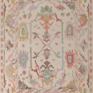 Pastel Abstract Tribal Hand Tufted Wool Rug with Decorative Border