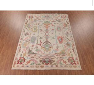 Pastel Abstract Tribal Hand Tufted Wool Rug with Decorative Border
