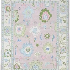 Pastel Vintage Medallion Handwoven Area Rug with Decorative Border